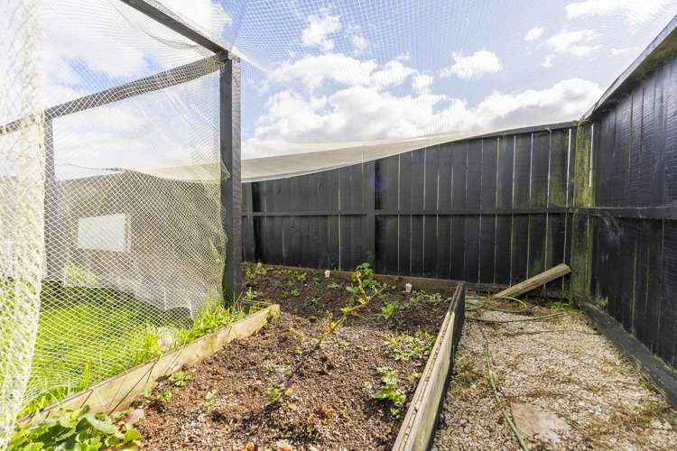 422 Apotu Road Kauri_31