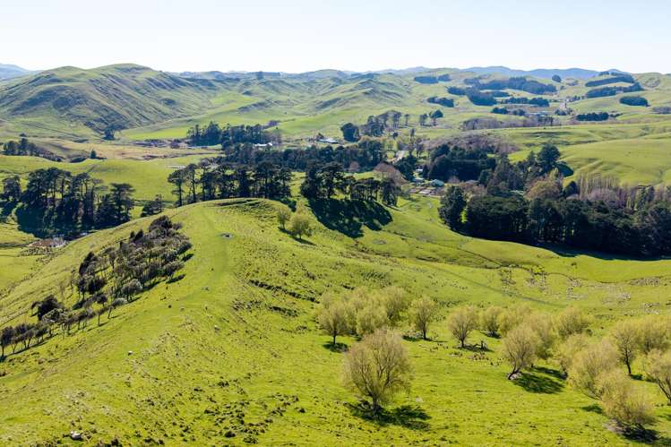 467 Waitahora Valley Road Dannevirke_13