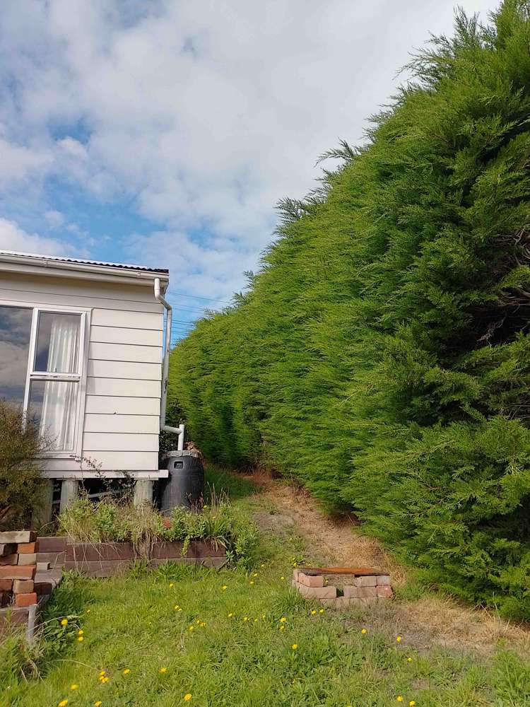 23 Whero Avenue Diamond Harbour_8