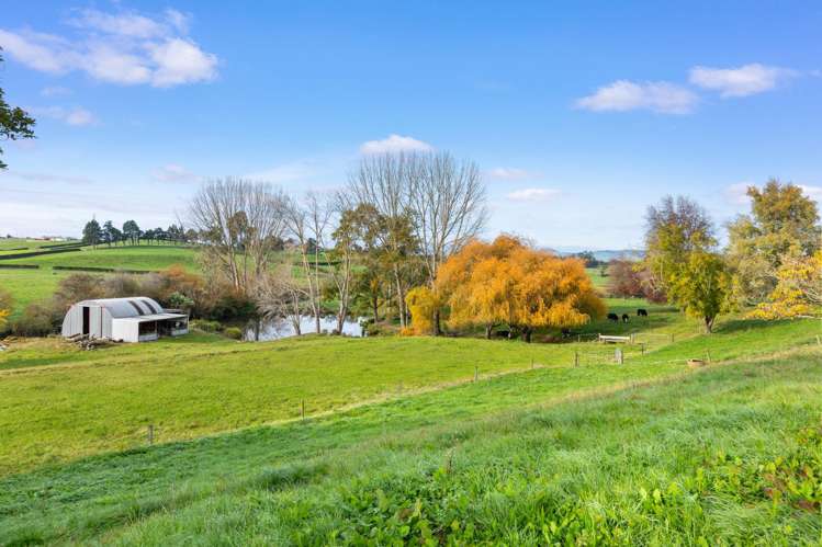 76b Scott Road Morrinsville_19