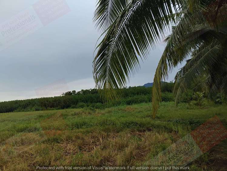 Address withheld Labasa_12