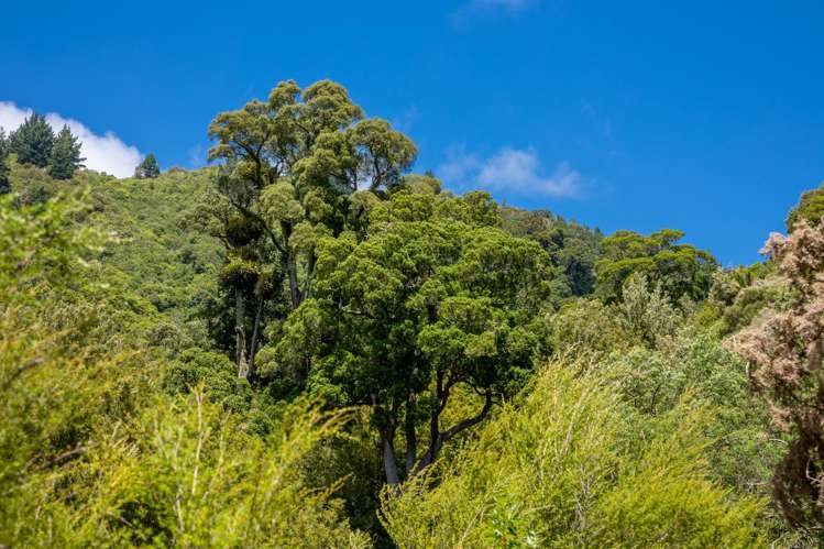 185 Kanuka Rise Wakapuaka_18