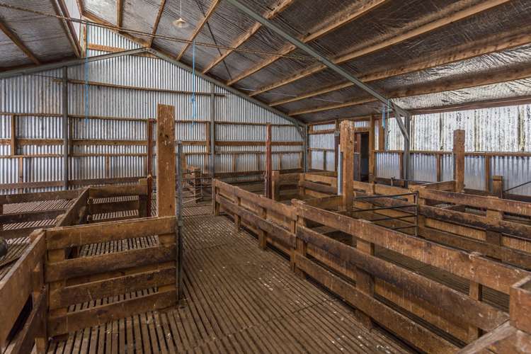 262 Chattertons Road McLeans Island_8