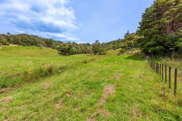 542 Duddy Road Hokianga_11