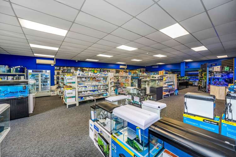 10/2 Tawa Drive Albany_6