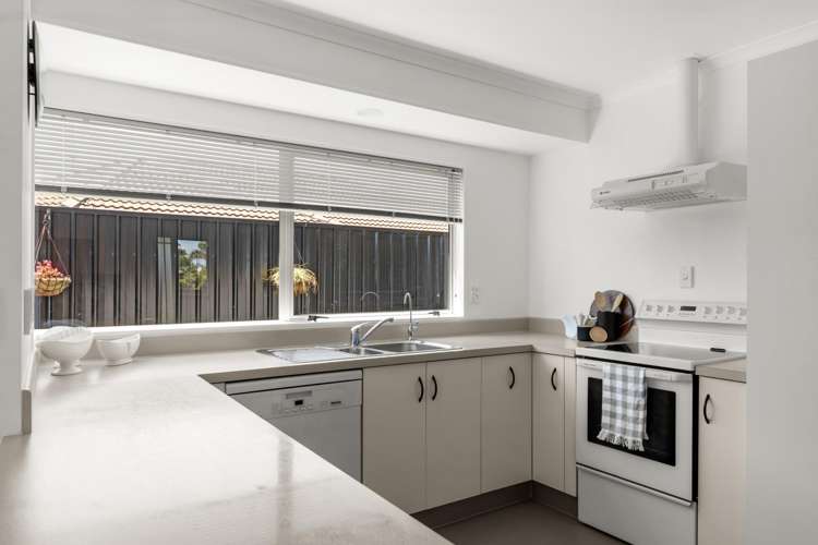 10A Melia Place Mt Maunganui_1