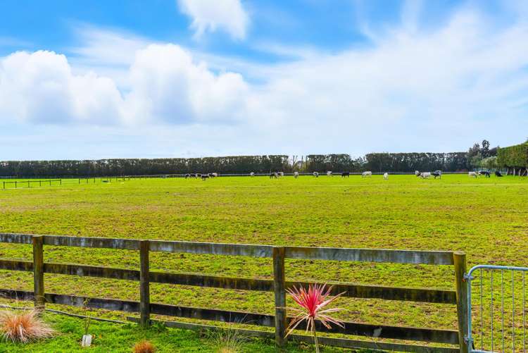 70 Joblins Road Levin_45