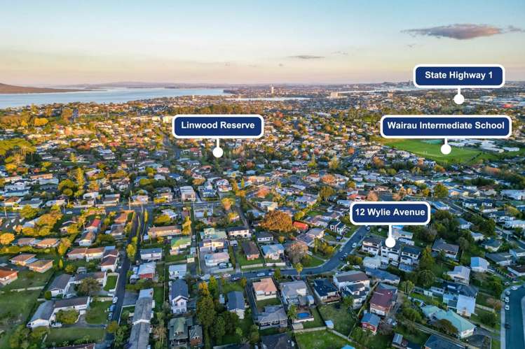 12c Wylie Avenue Sunnynook_30