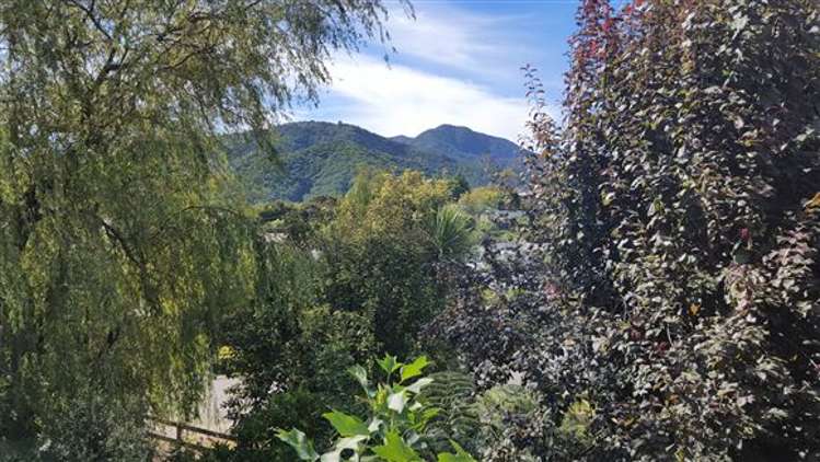 5a Cornwall Street Picton_14