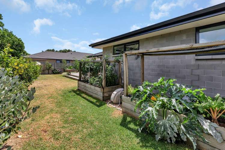 370 One Tree Point Road One Tree Point_19