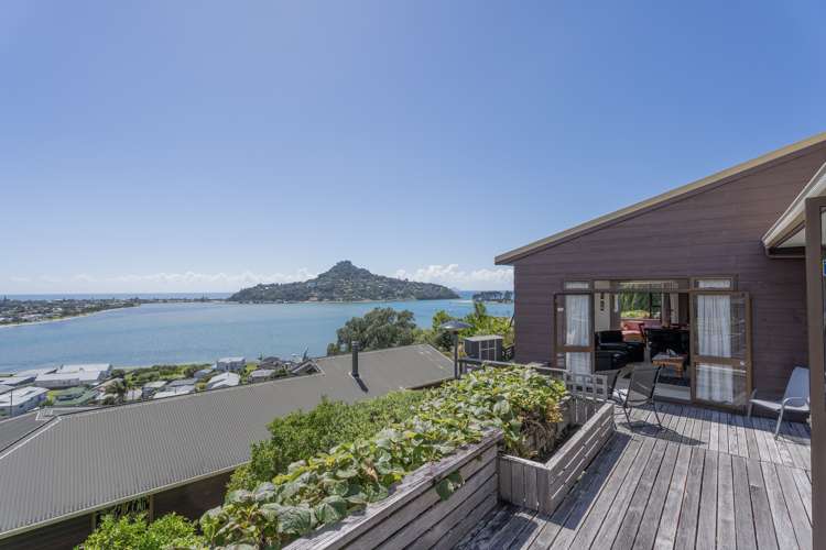 14 Pine Grove Tairua_41