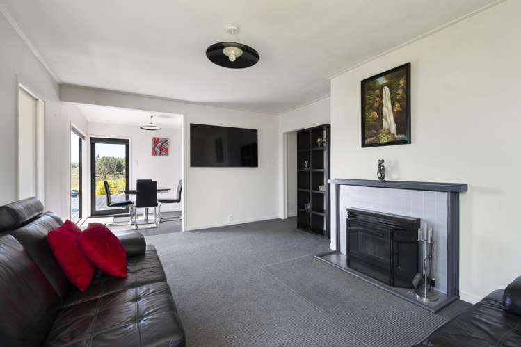 22 Ward Street Bulls_2