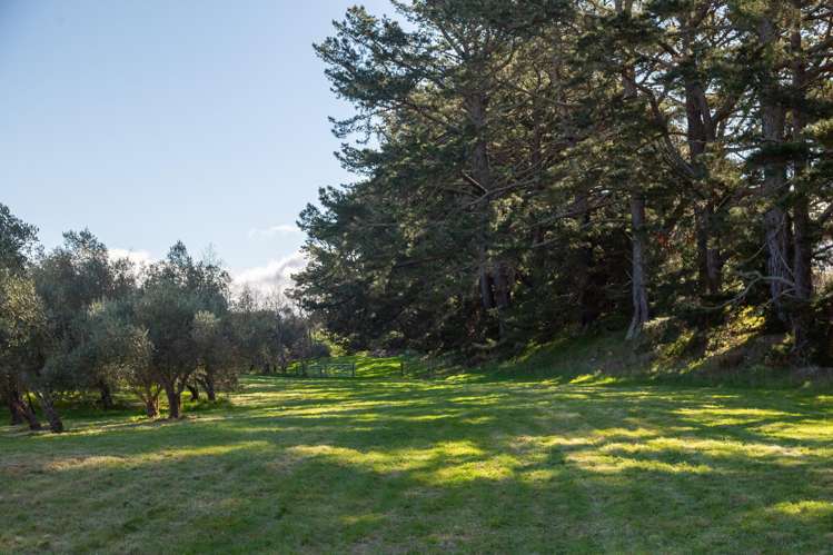 417 Upper Plain Road Masterton_11