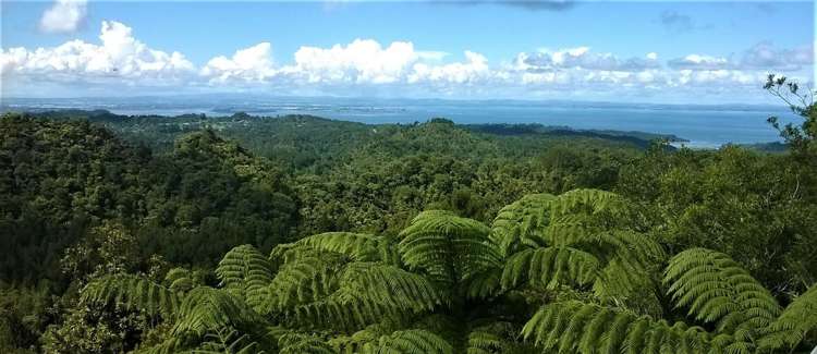 442/454 Scenic Drive Waiatarua_17