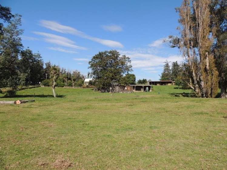 135 Seven Sisters Road Waitohi_18