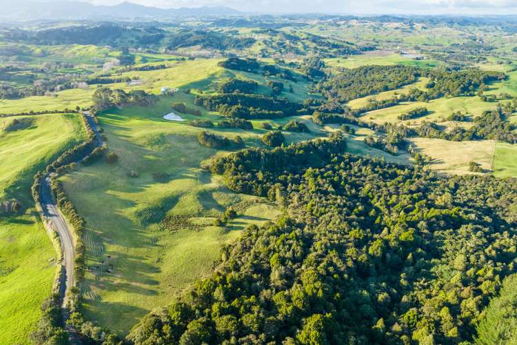 85 Lusk Road Ruawai_10