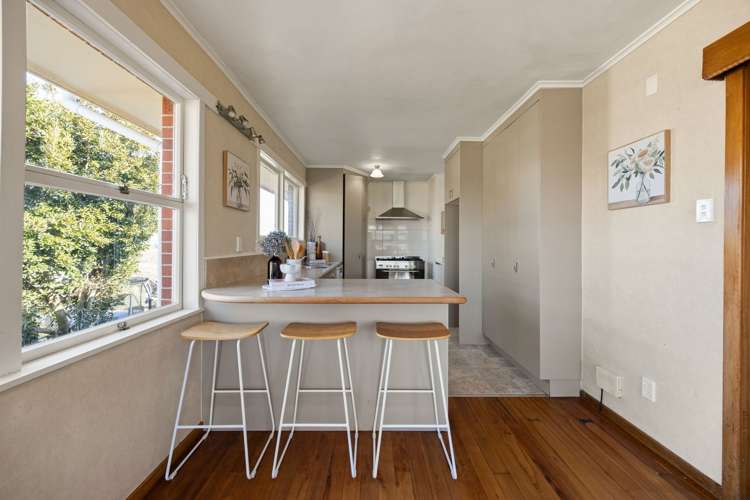 229 Fairview Road Road Te Awamutu_8