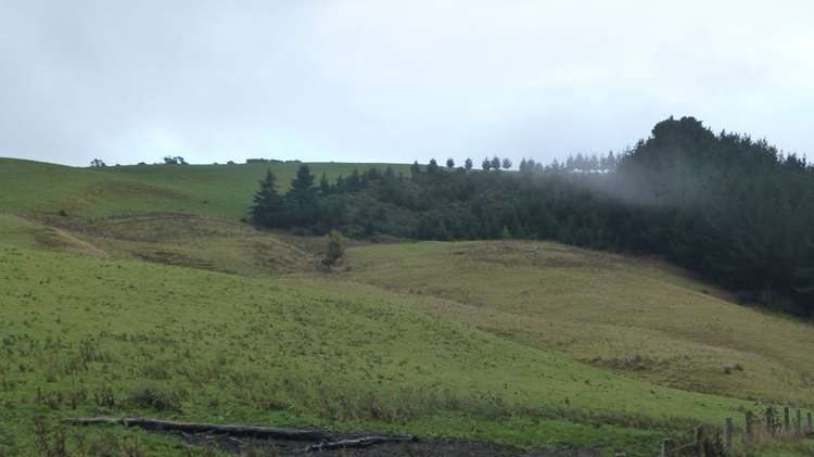 44 Rodgers Road Catlins Surrounds_36