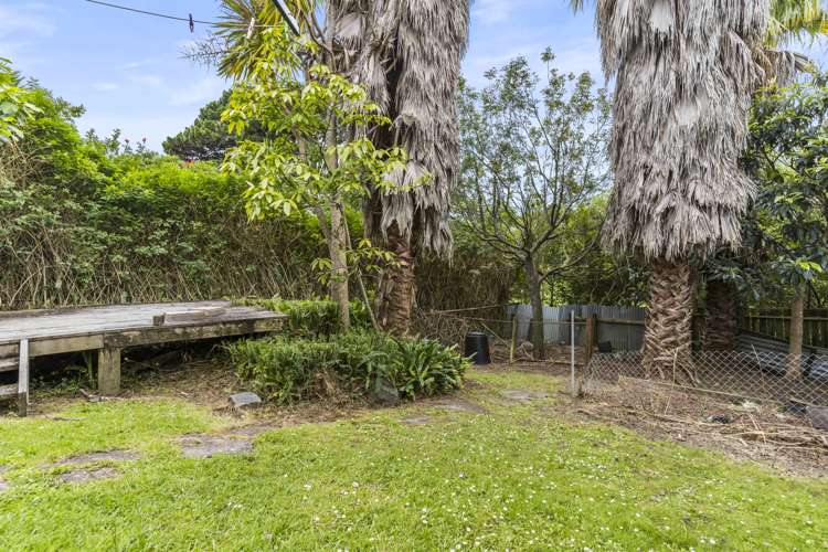 59 Dryden Street Grey Lynn_16