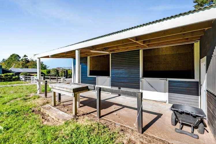 97 Kaipi Road Egmont Village_28