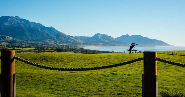 47 Shearwater Drive Kaikoura_0