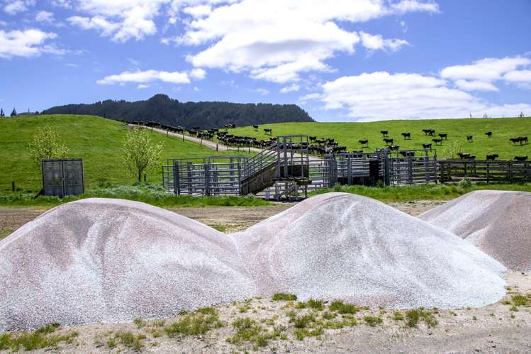 Korako Road Taupo_11