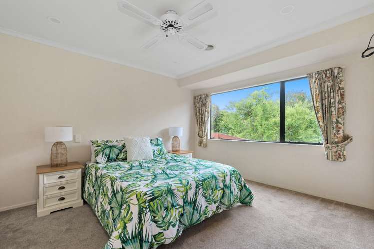 12a Willmott Place Springfield_11