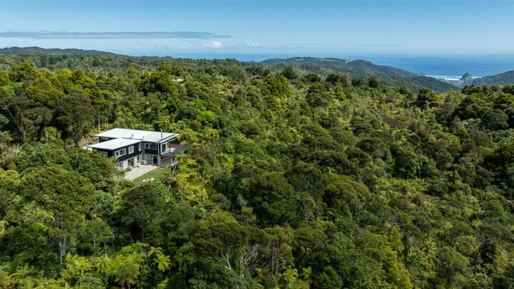 296 Piha Road Piha_47