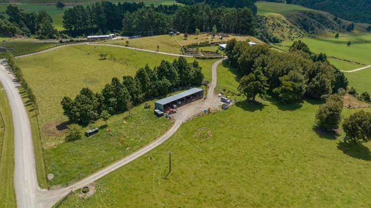 172 Kakariki West Road Eketahuna_7