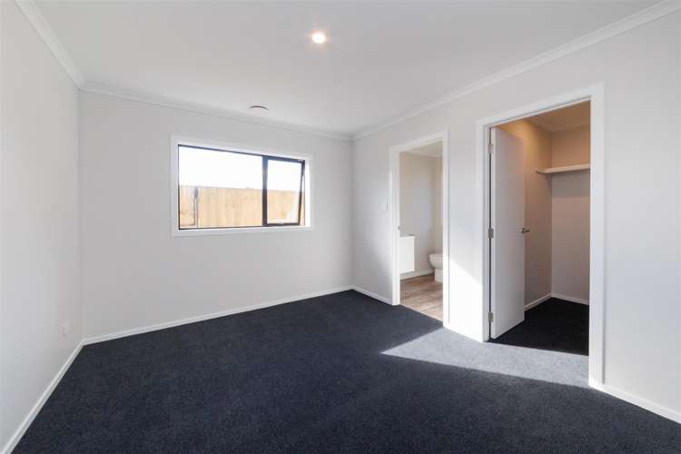 53 Hereford Street Marton_15