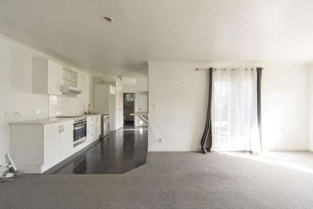 4A Newall Street Hamilton East_1