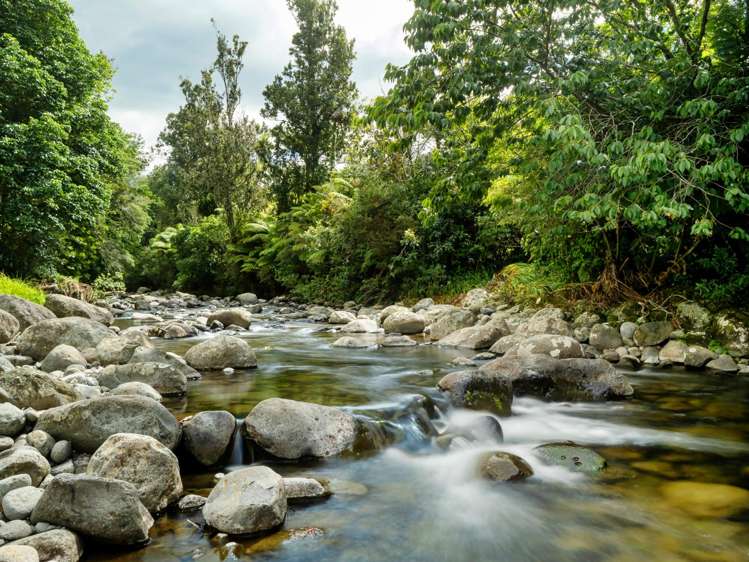 424A Hot Springs Road Katikati_32