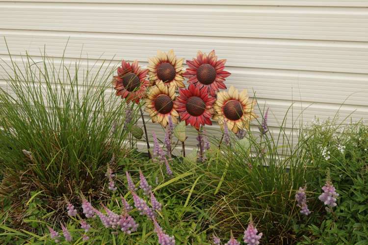 17 Hoffman Street Hokitika_13