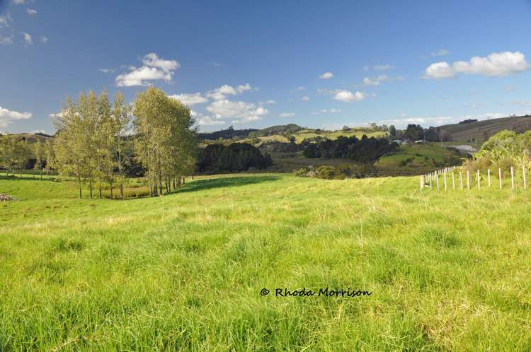 113 Te Rawhiti Road Matakohe_30