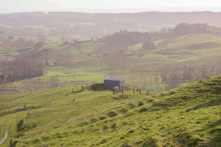 171 Te Arai Point Road Te Arai_10