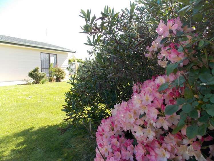 24 Clifford Street Pareora_22