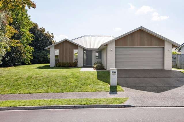 1 Homestead Lane 11373_1