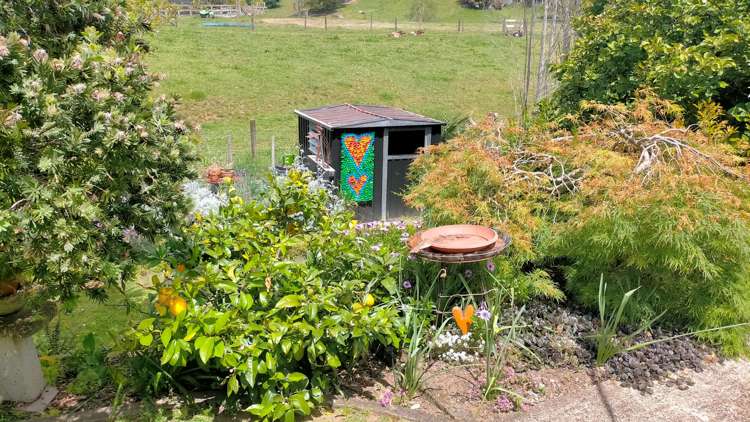 41 Shaw Avenue Paeroa_21