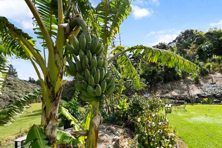 32 Admiral Way Tutukaka_6