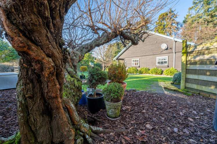 100 Oak Street Orari_17