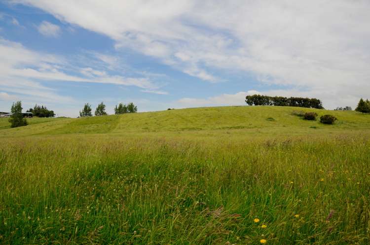 92 Maytown Road Waimate_14