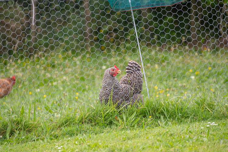 22 Awatiro Drive Kaukapakapa_40