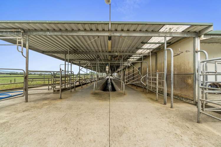 51a Waverley Road Gordonton_7