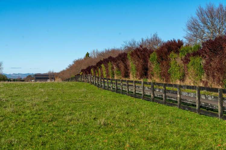 64B Opaki Kaiparoro Road Masterton_8