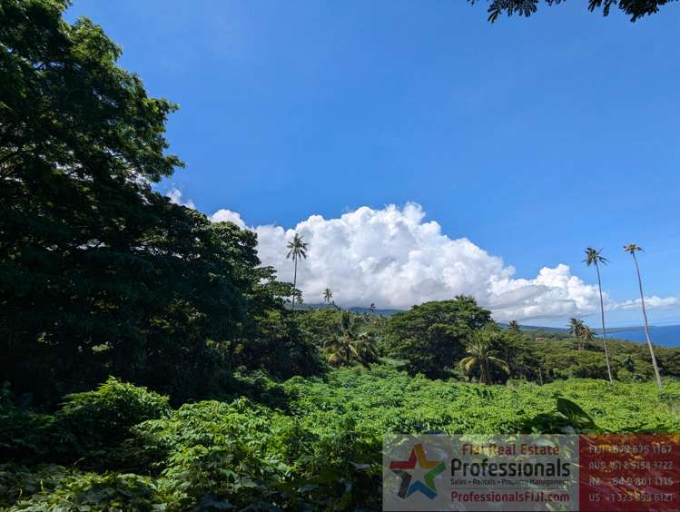 Address withheld Taveuni_22