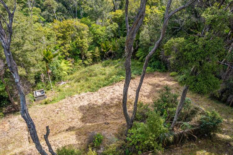 333 Cowes Bay Road Waiheke Island_10