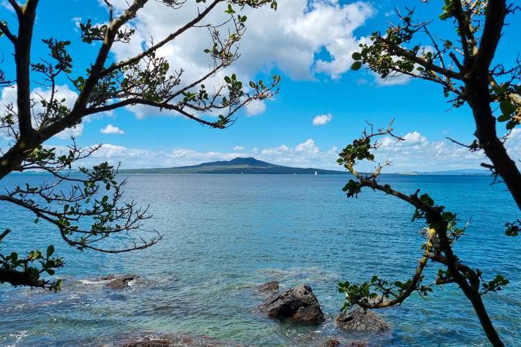 9 Kitchener Road Takapuna_22