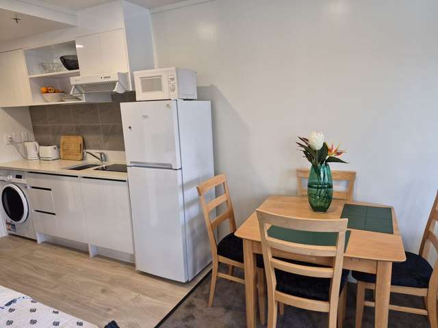 6a/109 Vincent Street Auckland Central_1