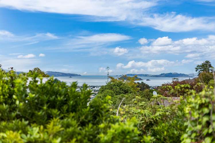 5 Christina Grove Normandale_1