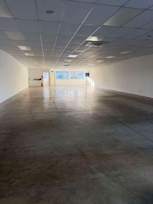 62 Grey Street Tauranga Central_3